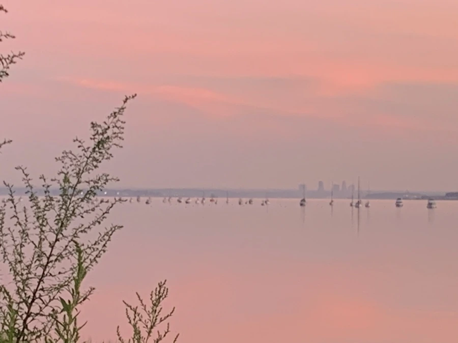 IMG_4346.jpg?type=w966