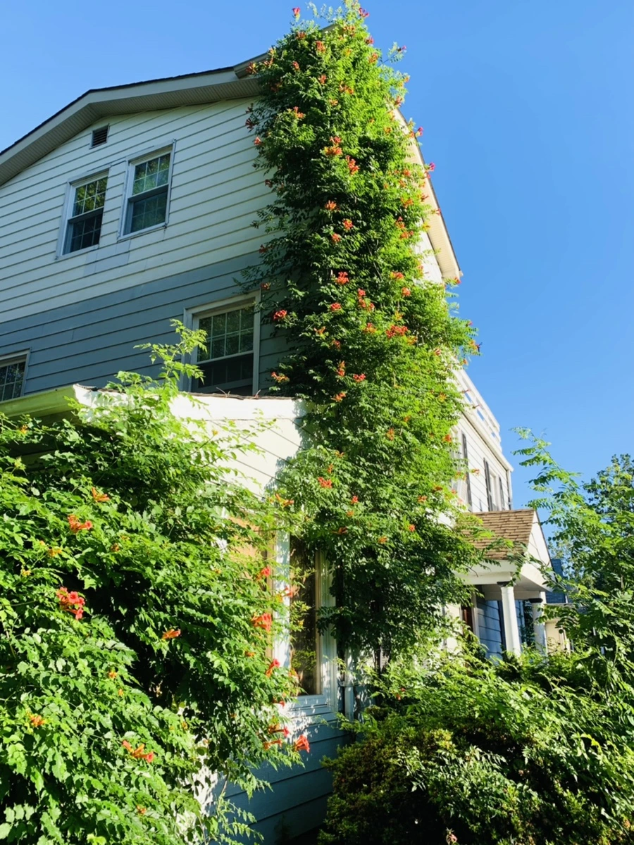 IMG_6219.jpg?type=w966