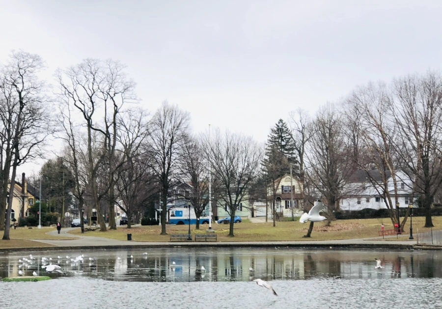 IMG_3253.jpg?type=w966