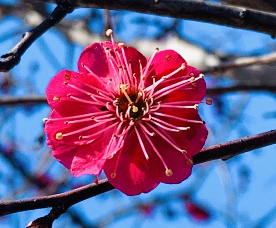 IMG_0667.jpg?type=w966