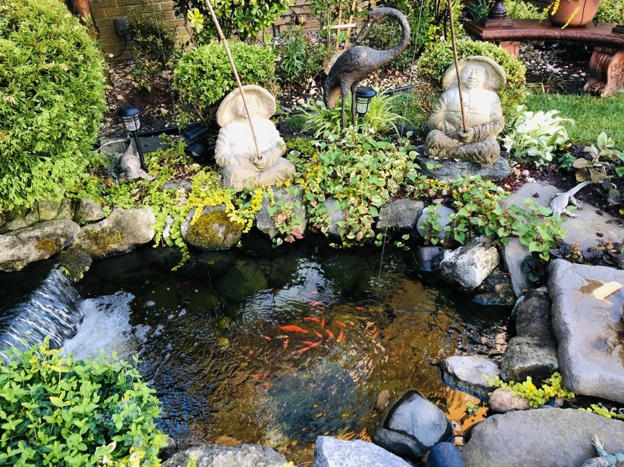 IMG_8975.jpg?type=w966