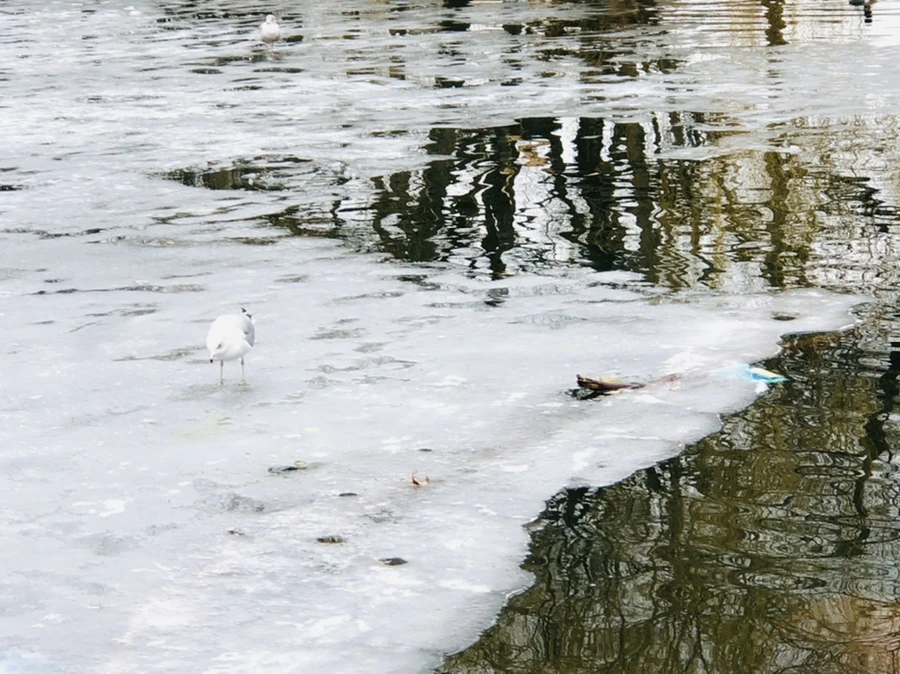 IMG_6377.jpg?type=w966