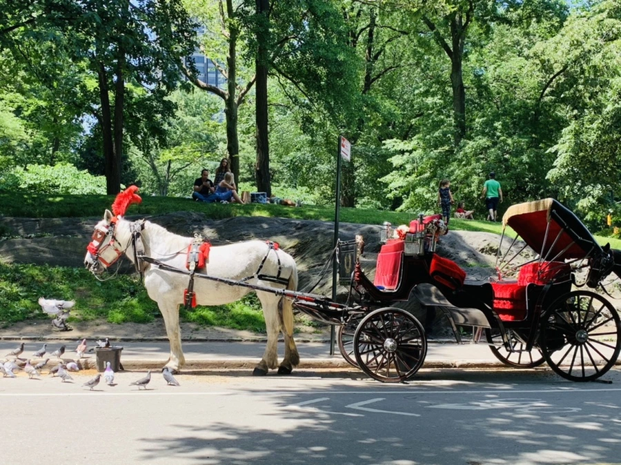 IMG_4917.jpg?type=w966