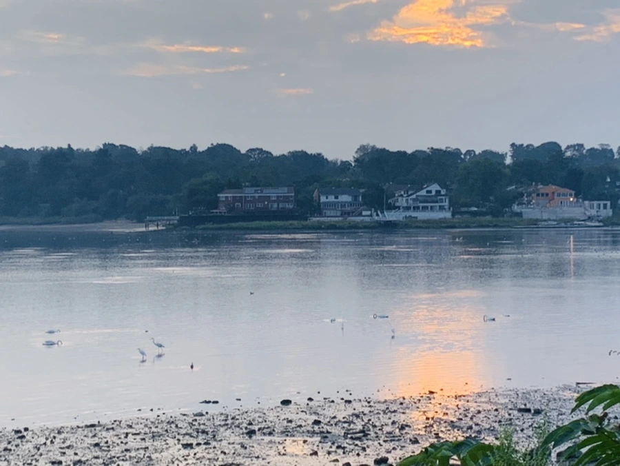 IMG_8193.jpg?type=w966