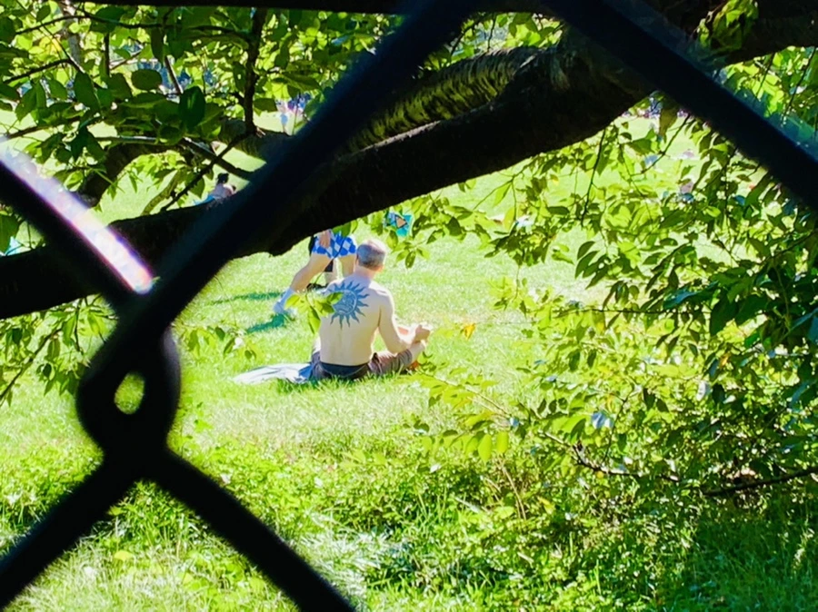 IMG_7664.jpg?type=w966