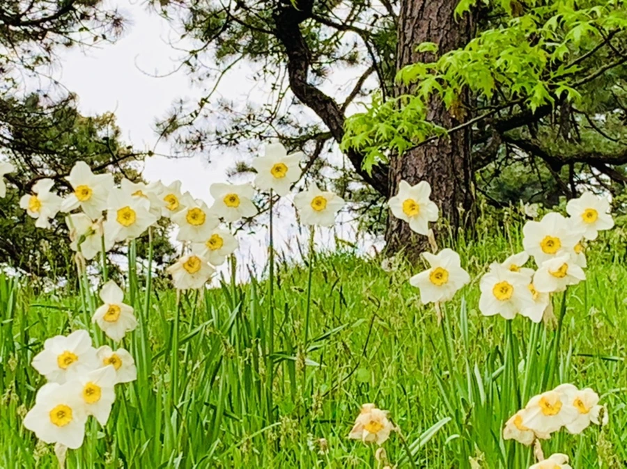 IMG_9742.jpg?type=w966