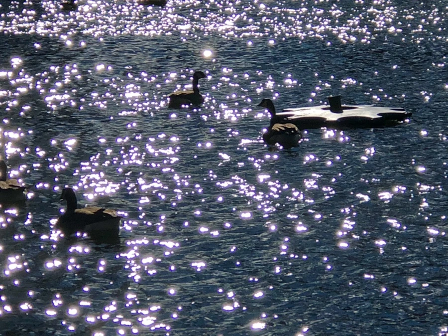 IMG_9192.jpg?type=w966