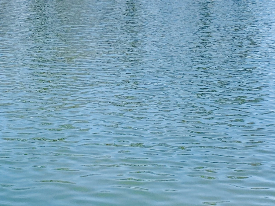 IMG_0082.jpg?type=w966