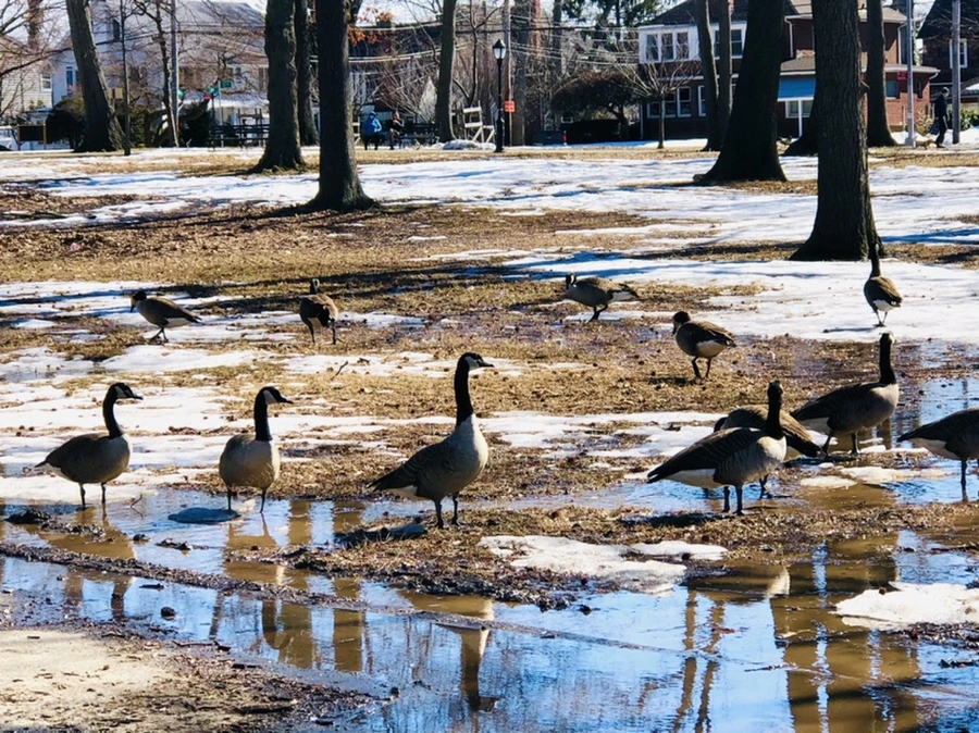 IMG_4991.jpg?type=w966