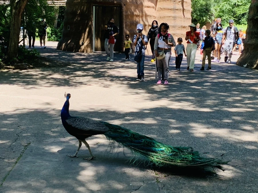 IMG_4207.jpg?type=w966