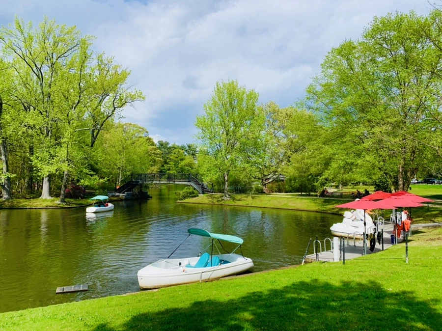 IMG_2491.jpg?type=w966