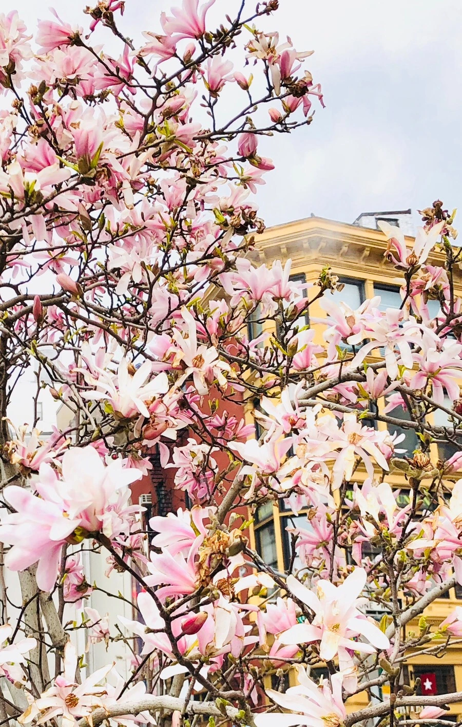 IMG_4220.jpg?type=w966