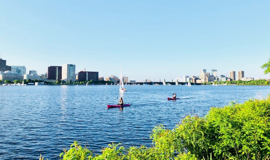 IMG_6784.jpg?type=w966