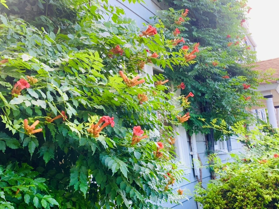 IMG_0912.jpg?type=w966