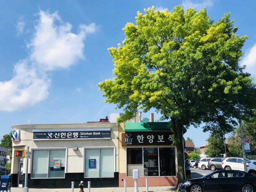 IMG_3053.jpg?type=w966