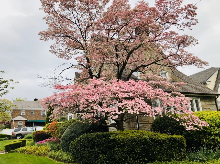 IMG_7266.jpg?type=w966