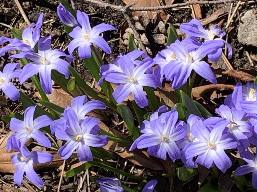 IMG_5782.jpg?type=w966