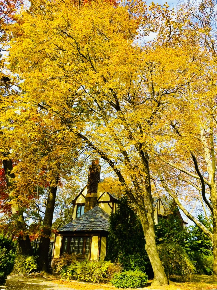 IMG_2237.jpg?type=w966