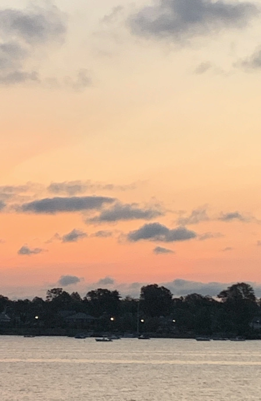 IMG_5329.jpg?type=w966