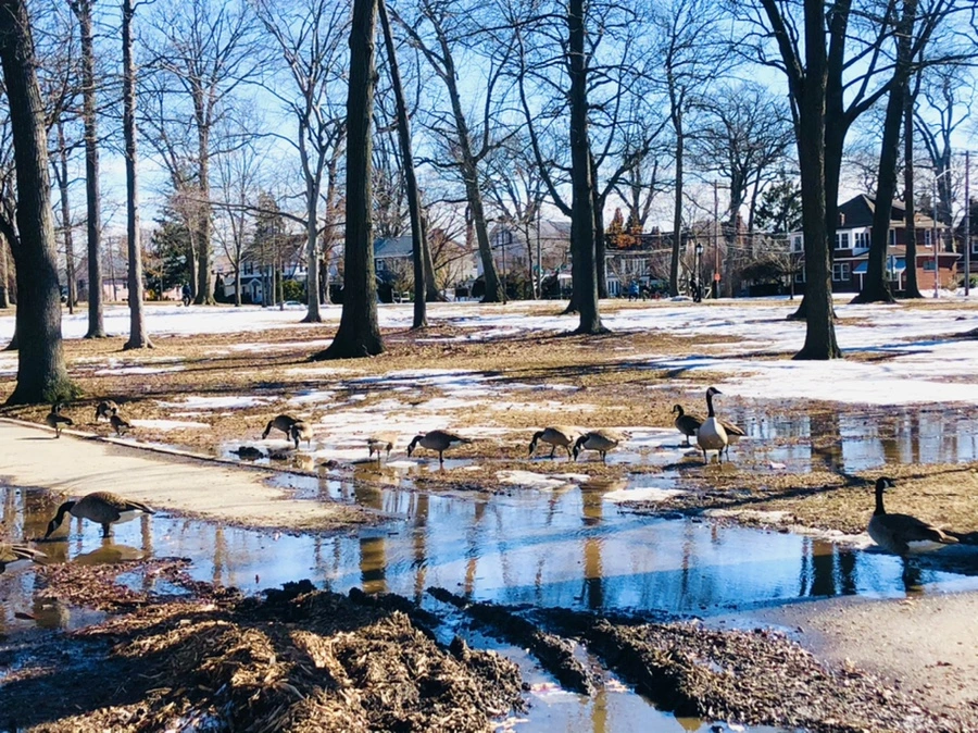 IMG_4984.jpg?type=w966