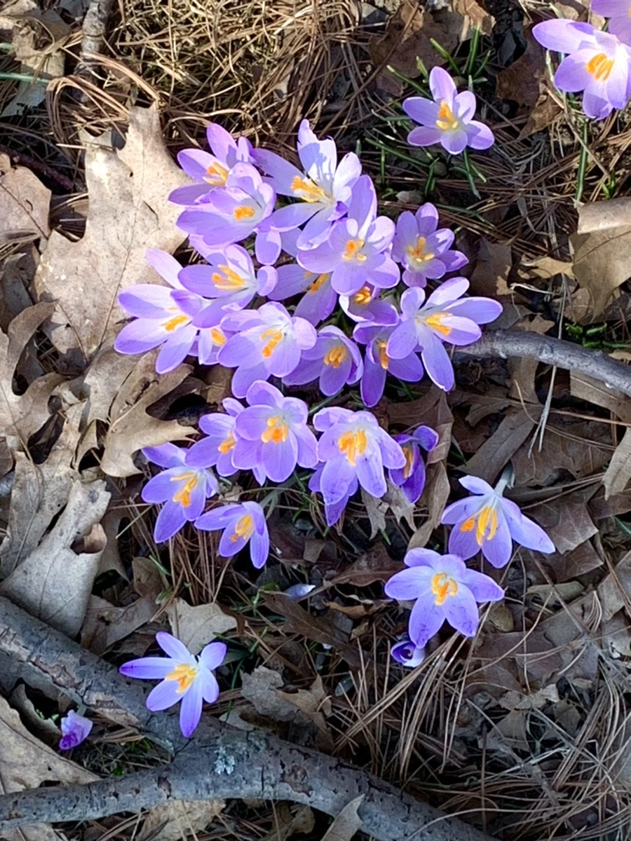 IMG_9765.jpg?type=w966