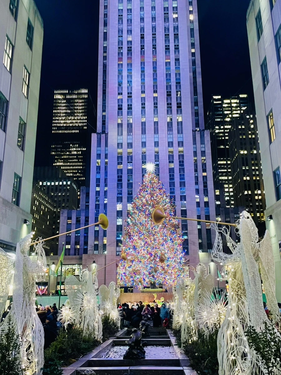 IMG_6150.jpg?type=w966