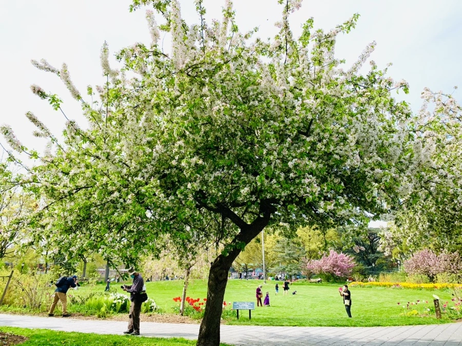 IMG_6987.jpg?type=w966