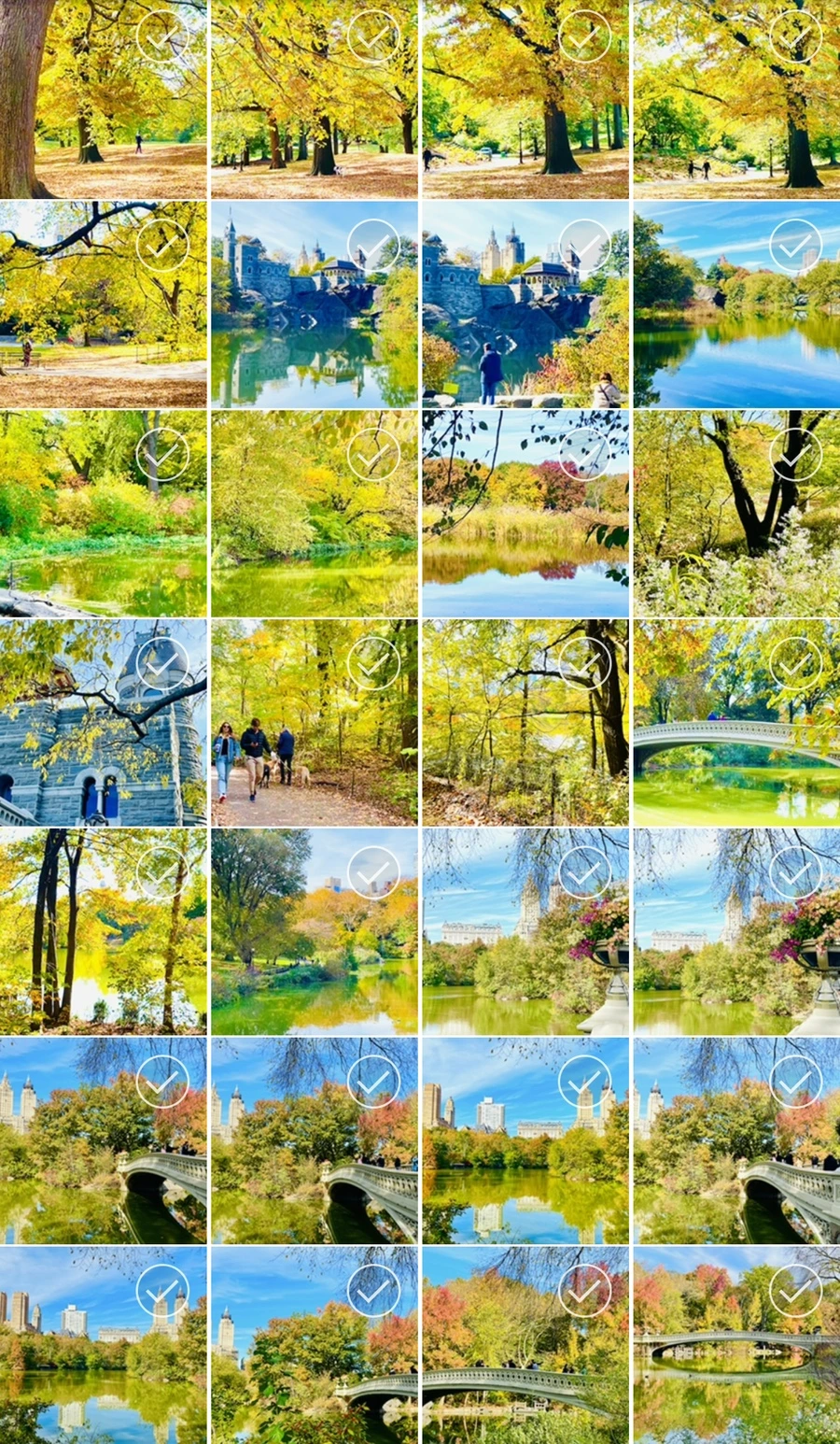 IMG_0425.jpg?type=w966