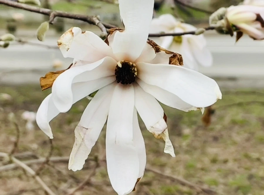 IMG_8153.jpg?type=w966