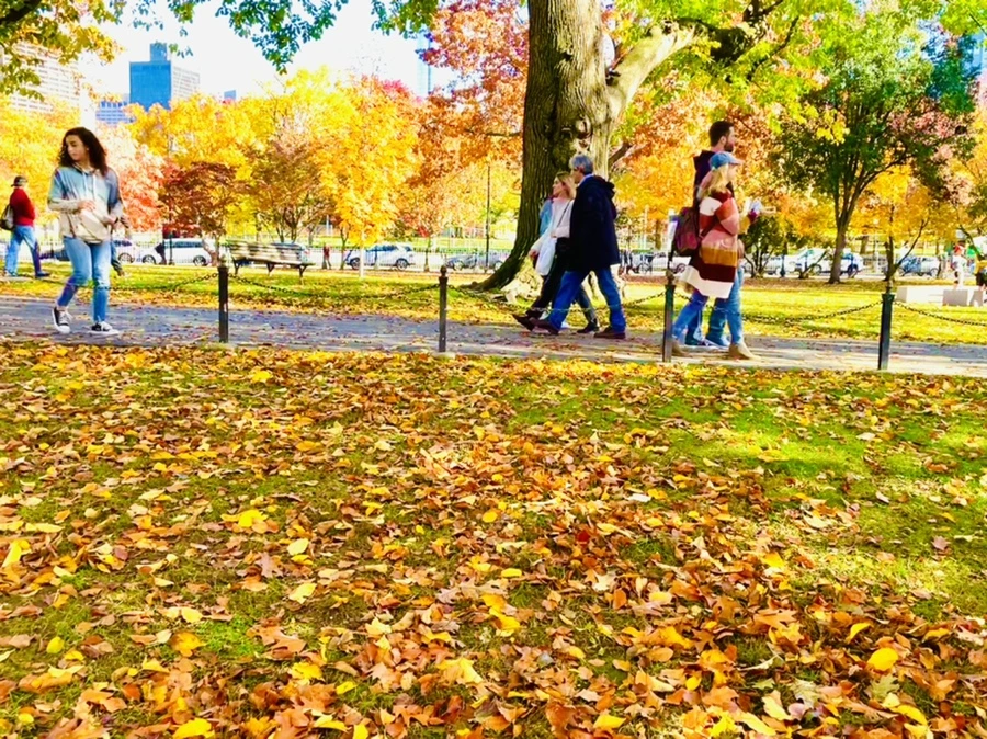 IMG_2562.jpg?type=w966