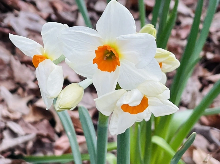 IMG_8296.jpg?type=w966