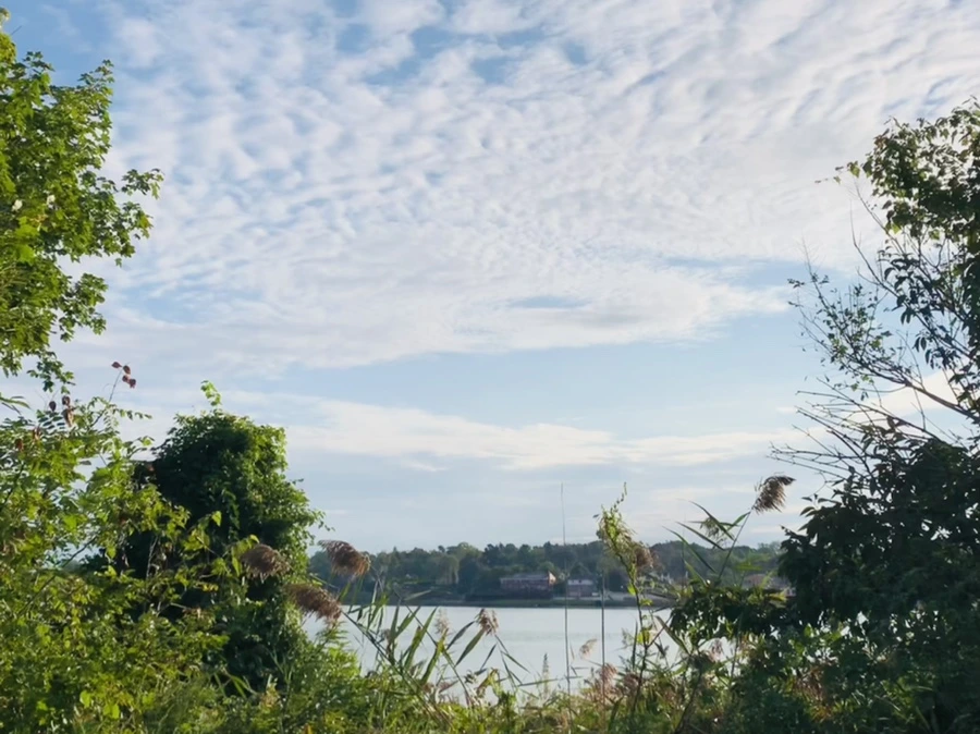 IMG_7814.jpg?type=w966