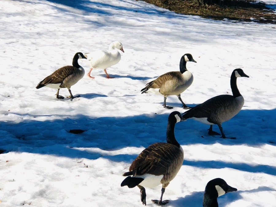 IMG_4868.jpg?type=w966