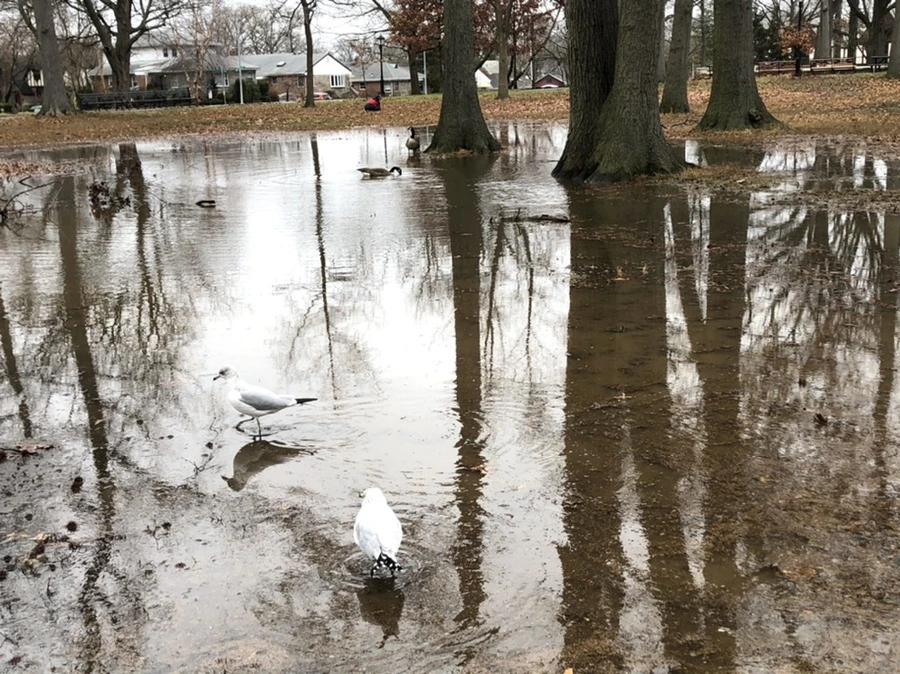 IMG_9486.jpg?type=w966