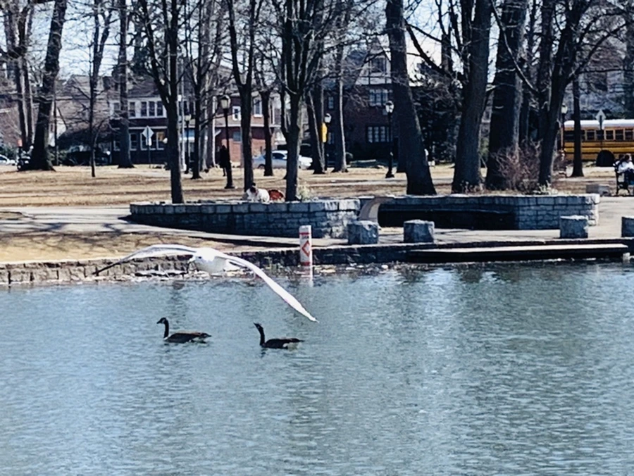 IMG_9447.jpg?type=w966