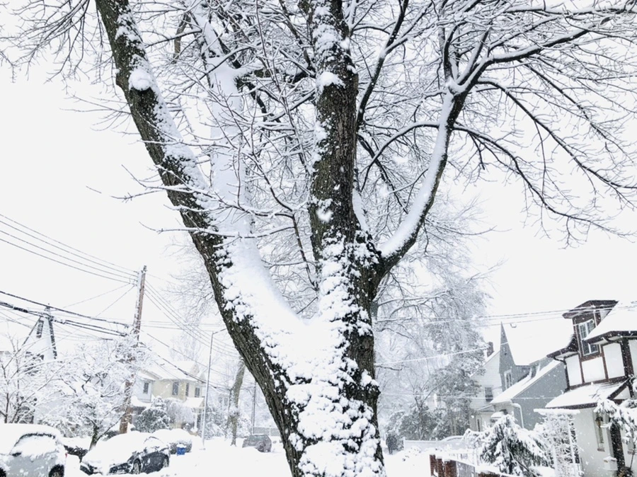 IMG_0976.jpg?type=w966