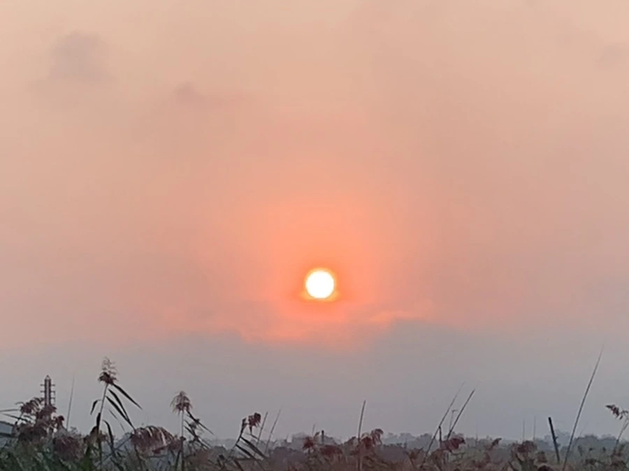 IMG_1145.jpg?type=w966