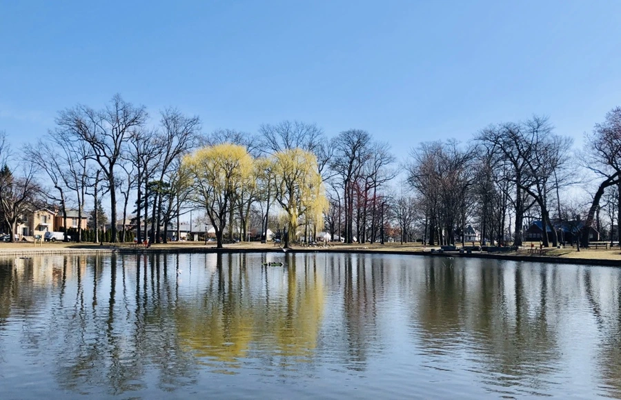 IMG_6446.jpg?type=w966