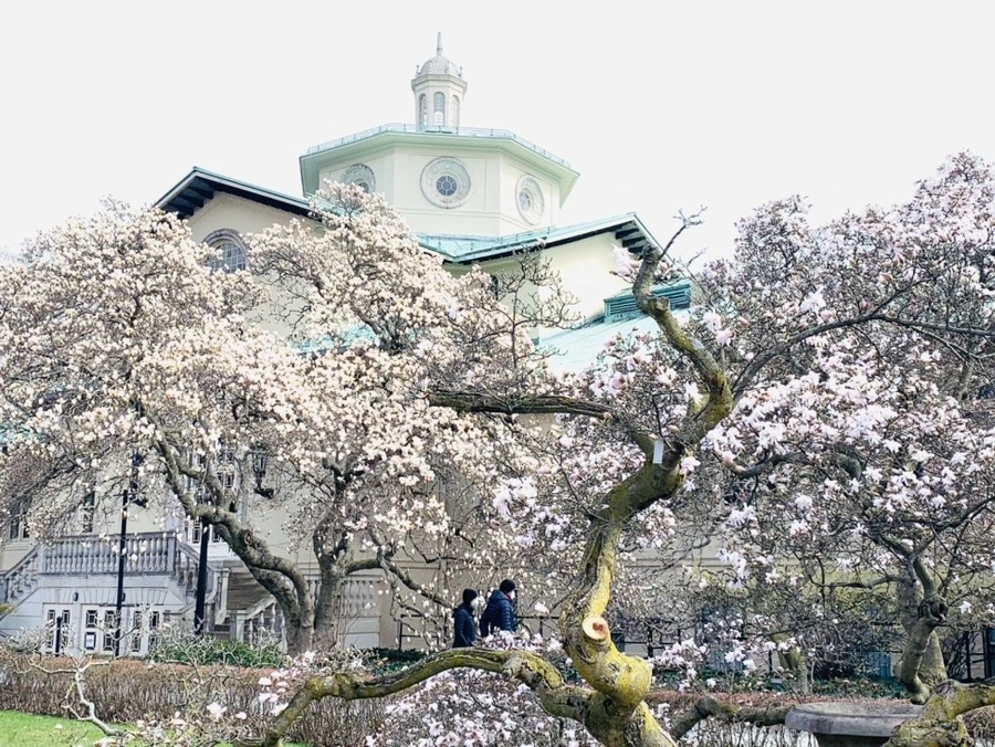 9wt4swqG1GgjteUFabBCO_gjHGg