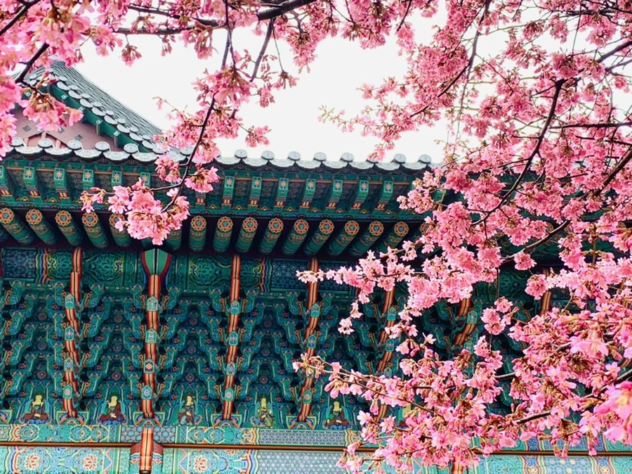 IMG_5272.jpg?type=w966