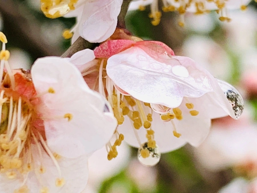 IMG_3941.jpg?type=w966