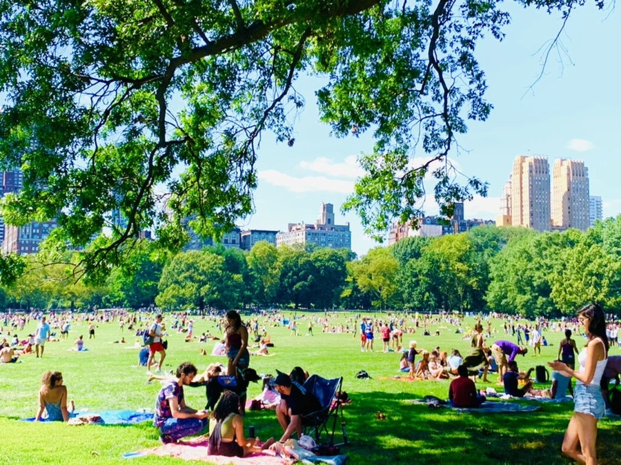 IMG_4365.jpg?type=w966