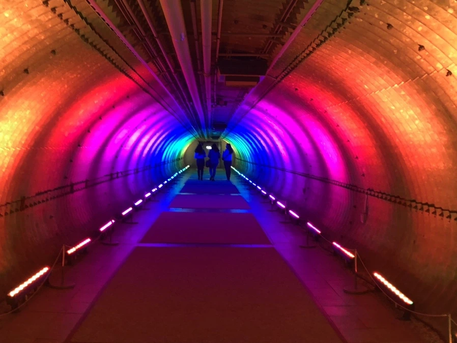 IMG_6248.jpg?type=w966