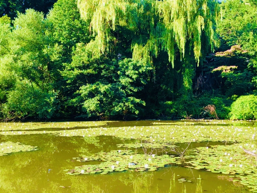 IMG_3906.jpg?type=w966