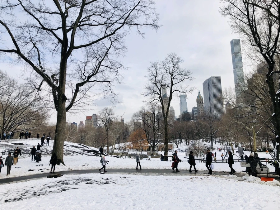 IMG_0390.jpg?type=w966