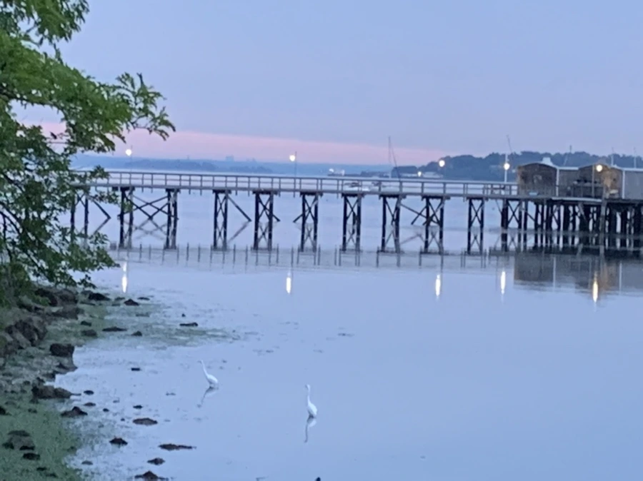 IMG_6243.jpg?type=w966