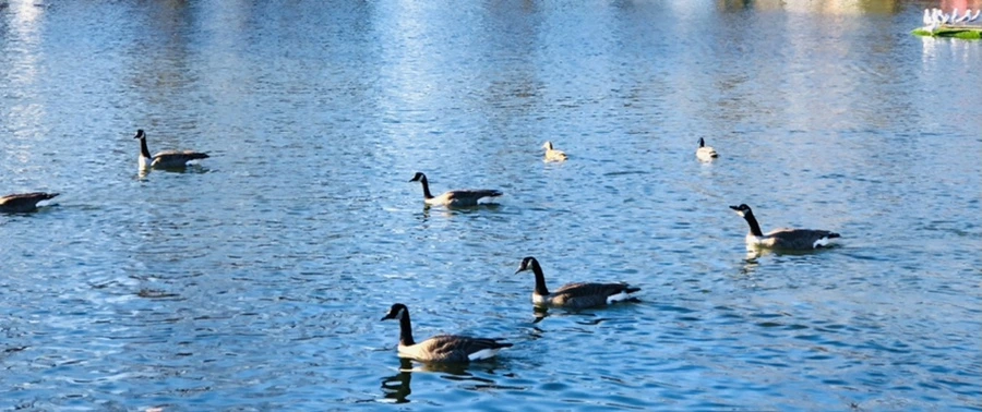 IMG_9309.jpg?type=w966