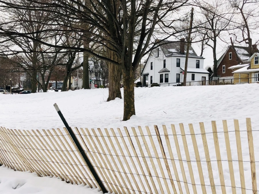 IMG_2462.jpg?type=w966