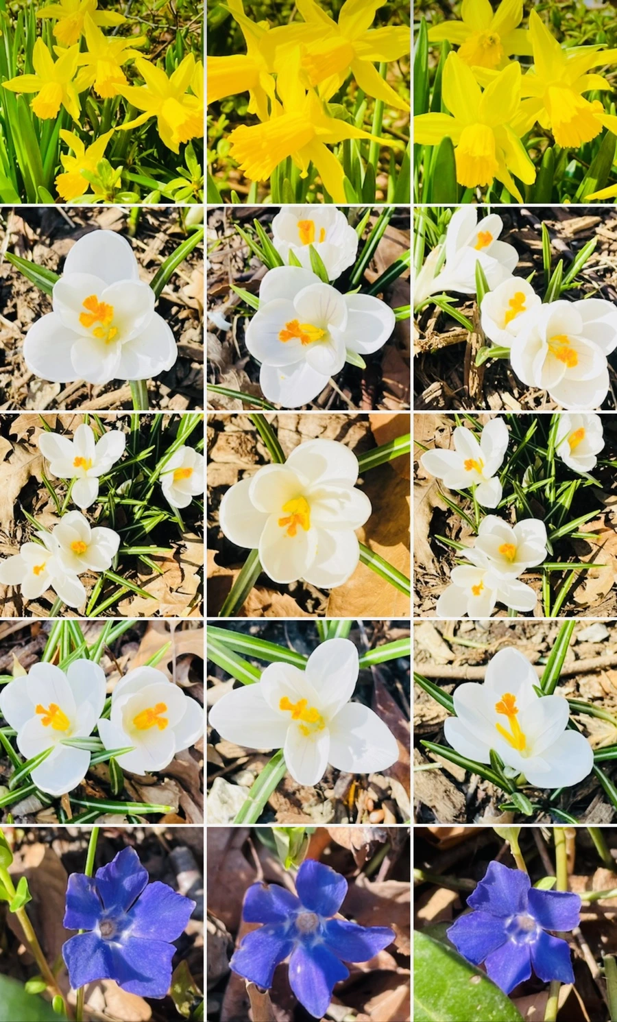 IMG_5660.jpg?type=w966