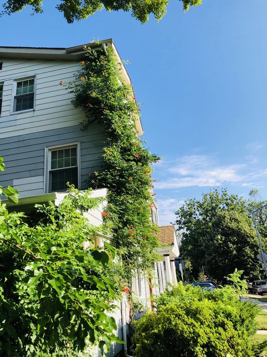 IMG_2156.jpg?type=w966